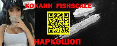 jwh Кингисепп