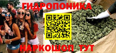 гидра Кимры
