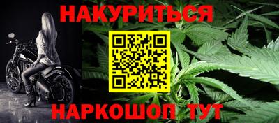 jwh Кингисепп