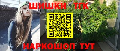 jwh Кингисепп