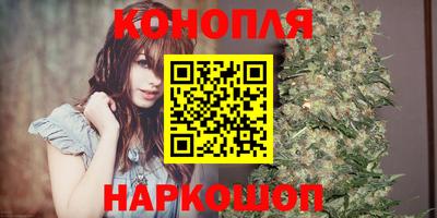 крисы Кинель
