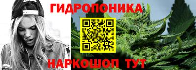 гидра Кимры