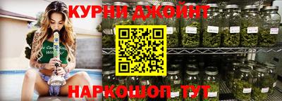 jwh Кингисепп