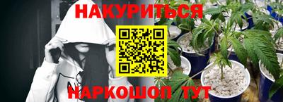 крисы Кинель