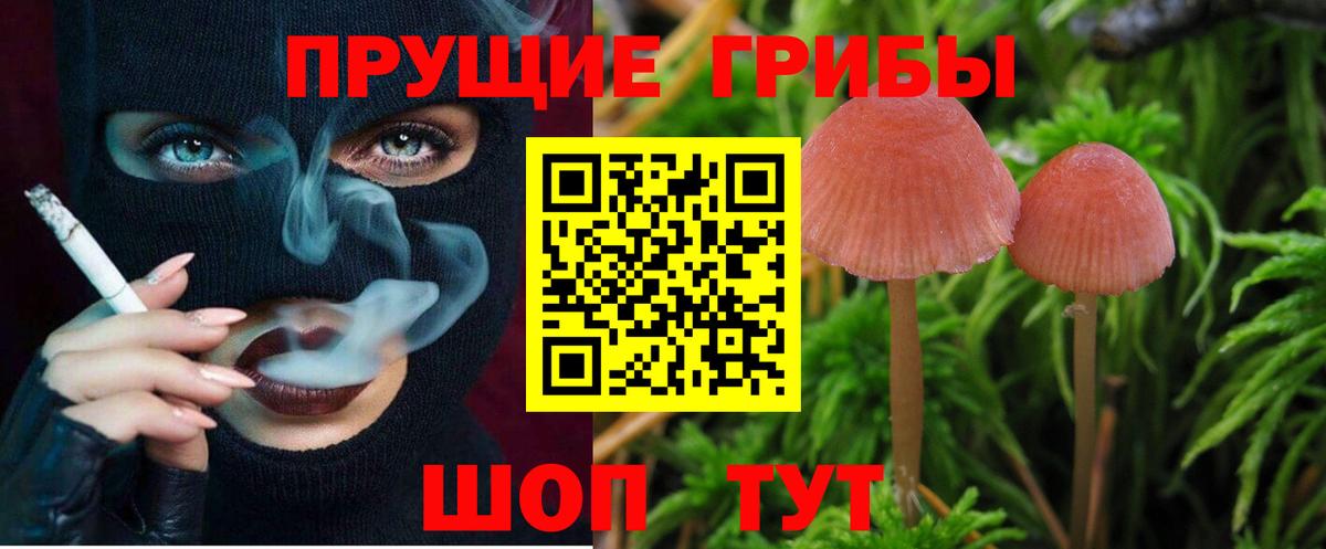 Псилоцибиновые грибы мицелий  Вход с VPN  Всеволожск 